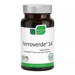 NICAPUR Ferroverde 14 kapselia, 60 kpl