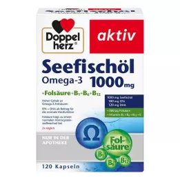 DOPPELHERZ Merikalaöljy Omega-3 1.000 mg+Fols.Caps., 120 kpl
