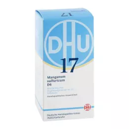 BIOCHEMIE DHU 17 Manganum sulphuricum D 6 tablettia, 420 kpl