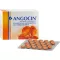 ANGOCIN Anti Infekt N kalvopäällysteisiä tabletteja, 200 kapselia