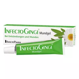 INFECTOGINGI Suugeeli, 20 g