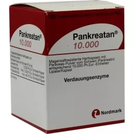 PANKREATAN 10 000 enteropäällysteistä kovaa kapselia, 100 kpl