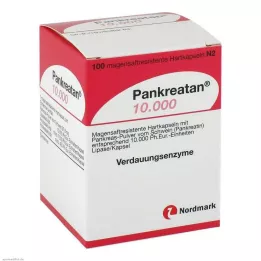 PANKREATAN 10 000 enteropäällysteistä kovaa kapselia, 100 kpl