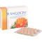 ANGOCIN Anti Infekt N kalvopäällysteiset tabletit, 100 kapselia