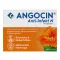 ANGOCIN Anti Infekt N kalvopäällysteiset tabletit, 100 kapselia