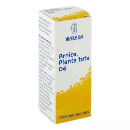 ARNICA PLANTA tota D 6 palloa, 10 g