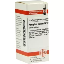 AGRAPHIS NUTANS D 12 palloa, 10 g