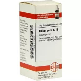 ALLIUM CEPA C 12 palloa, 10 g