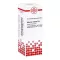 ASTERIAS RUBENS D 6 Laimennus, 20 ml