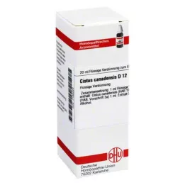 CISTUS CANADENSIS D 12 Laimennus, 20 ml