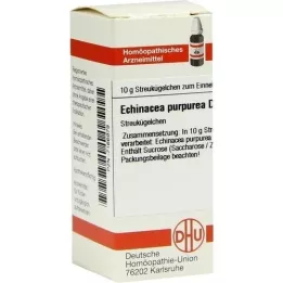 ECHINACEA PURPUREA D 6 palloa, 10 g