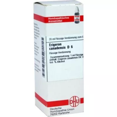 ERIGERON CANADENSIS D 6 Laimennus, 20 ml ERIGERON CANADENSIS D 6 Laimennus, 20 ml