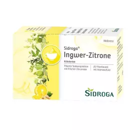 SIDROGA Wellness inkivääri-sitruunatee suodatinpussi, 20X2.0 g, 20X2.0 g