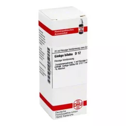 GINKGO BILOBA D 12 Laimennus, 20 ml