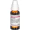 HIRUDO D 6 Laimennus, 20 ml