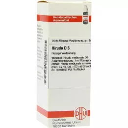 HIRUDO D 6 Laimennus, 20 ml