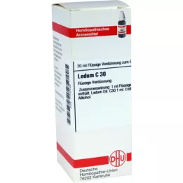 LEDUM C 30 -laimennos, 20 ml