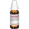 LEONURUS CARDIACA D 4 -laimennus, 20 ml