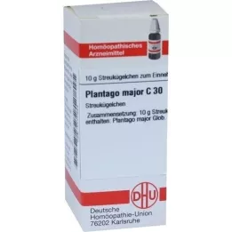 PLANTAGO MAJOR C 30 palloa, 10 g