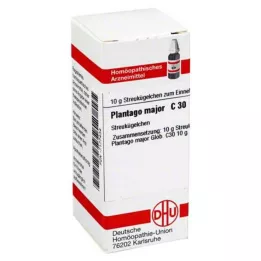 PLANTAGO MAJOR C 30 palloa, 10 g