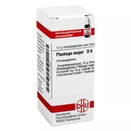 PLANTAGO MAJOR D 6 palloa, 10 g
