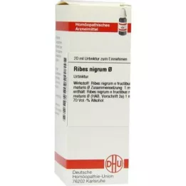 RIBES NIGRUM emätintinktuura, 20 ml
