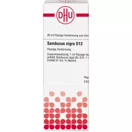 SAMBUCUS NIGRA D 12 Laimennus, 20 ml