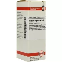 SERUM ANGUILLAE D 6 Laimennus, 20 ml