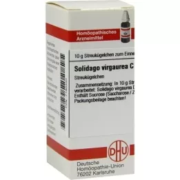 SOLIDAGO VIRGAUREA C 30 palloa, 10 g