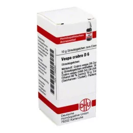 VESPA CRABRO D 6 palloa, 10 g