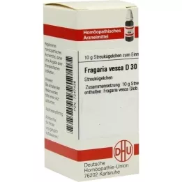 FRAGARIA VESCA D 30 palloa, 10 g