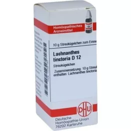 LACHNANTHES tinctoria D 12 palloa, 10 g