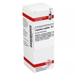 LESPEDEZA CAPITATA D 6 Laimennus, 20 ml