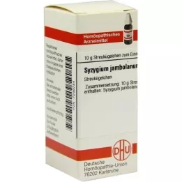 SYZYGIUM JAMBOLANUM D 4 palloa, 10 g