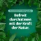 BRONCHOFORTON Voide, 100 g