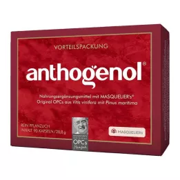 OPC ORIGINAL Masqueliers Anthogenol kapselit, 90 kapselia