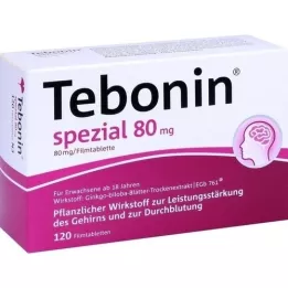TEBONIN erityiset 80 mg kalvopäällysteiset tabletit, 120 kpl