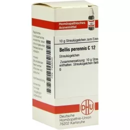 BELLIS PERENNIS C 12 palloa, 10 g