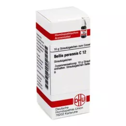 BELLIS PERENNIS C 12 palloa, 10 g