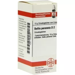 BELLIS PERENNIS D 2 palloa, 10 g