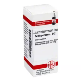 BELLIS PERENNIS D 2 palloa, 10 g