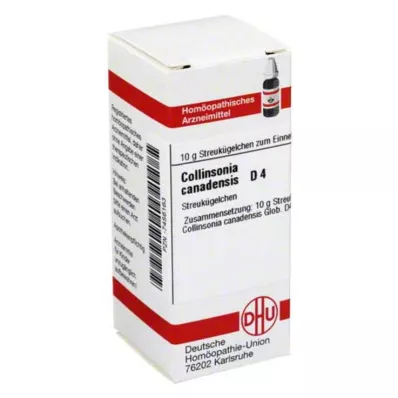 COLLINSONIA CANADENSIS D 4 palloa, 10 g COLLINSONIA CANADENSIS D 4 palloa, 10 g