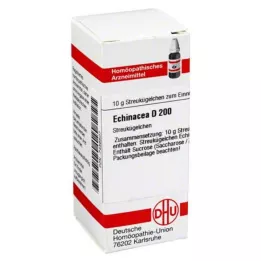 ECHINACEA HAB D 200 palloa, 10 g