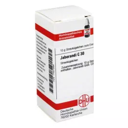 JABORANDI C 30 palloa, 10 g