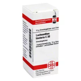 LACHNANTHES tinctoria C 30 palloa, 10 g