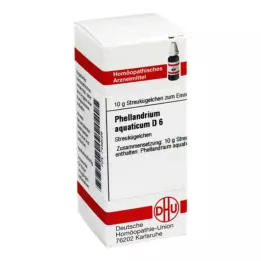 PHELLANDRIUM AQUATICUM D 6 palloa, 10 g