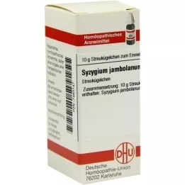 SYZYGIUM JAMBOLANUM D 6 palloa, 10 g