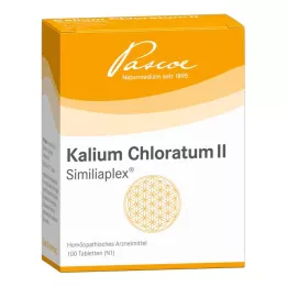 KALIUM CHLORATUM 2 Similiaplex-tablettia, 100 kpl