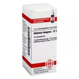 ADLUMIA fungosa D 12 palloa, 10 g