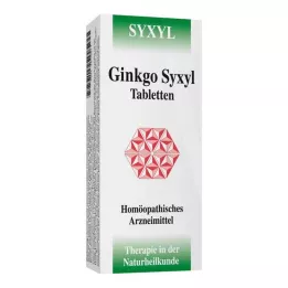 GINKGO SYXYL Tabletit, 120 kpl